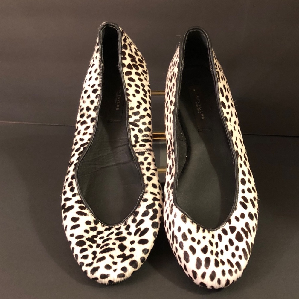 Ann Taylor Flats